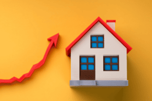 التطوير العقاري وإدارة العقارات